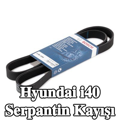 BOSCH Serpantin kayışı 1256mm, Number of ribs: 6 — Hyundai i40