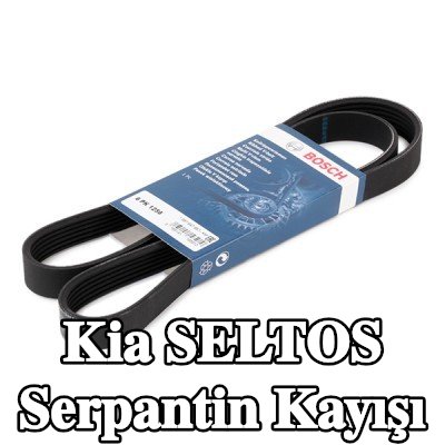 BOSCH Serpantin kayışı 1256mm, Number of ribs: 6 — Kia Seltos