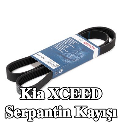 BOSCH Serpantin kayışı 1256mm, Number of ribs: 6 — Kia Xceed