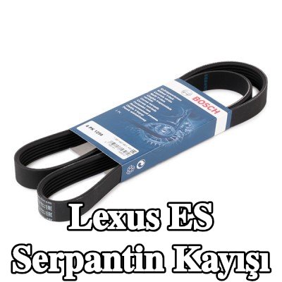 BOSCH Serpantin kayışı 1256mm, Number of ribs: 6 — Lexus Es