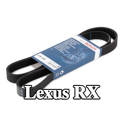 BOSCH حزام سيربنتين 1256mm, Number of ribs: 6 — 2012 Lexus Rx