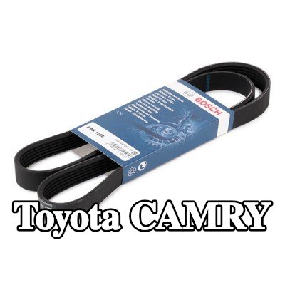 BOSCH حزام سيربنتين 1256mm, Number of ribs: 6 — 2012 Toyota Camry