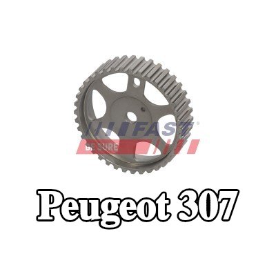 FAST ترس، عمود الكامات — Peugeot 307