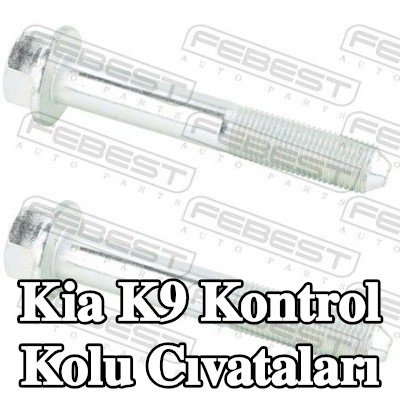 FEBEST Kontrol kolu cıvataları Arka, Arka Aks — Kia K9