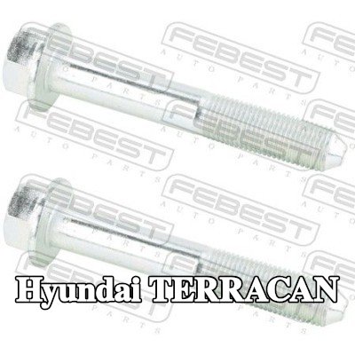 FEBEST مسامير ذراع التحكم الخلفي, المحور الخلفي — Hyundai Terracan