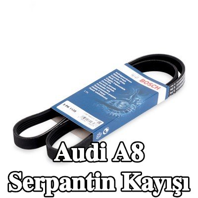 BOSCH Serpantin kayışı 1135mm, Number of ribs: 5 — 2010 Audi A8