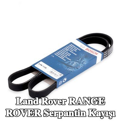 BOSCH Serpantin kayışı 1135mm, Number of ribs: 5 — 1990 Land Rover Range Rover