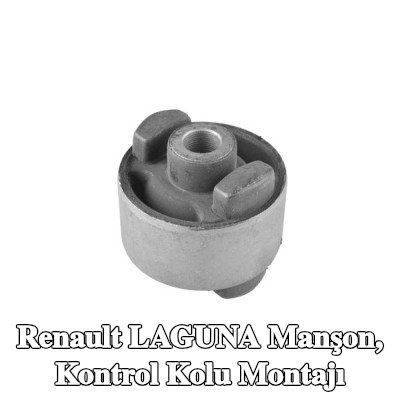 TEDGUM Manşon, kontrol kolu montajı — 2000 Renault Laguna