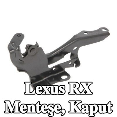 BLIC Menteşe, kaput — Lexus Rx
