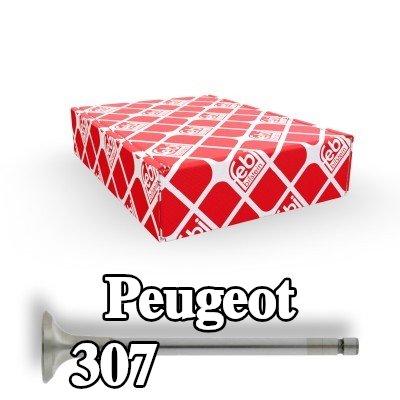 FEBI BILSTEIN صمام العادم — Peugeot 307