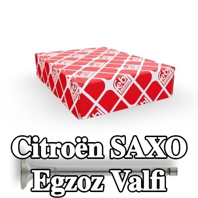 FEBI BILSTEIN Egzoz valfi — 2002 Citroën Saxo