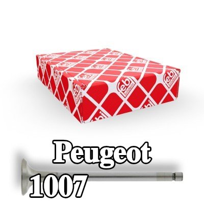 FEBI BILSTEIN صمام العادم — Peugeot 1007