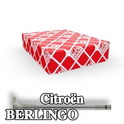FEBI BILSTEIN صمام العادم — 2000 Citroën Berlingo