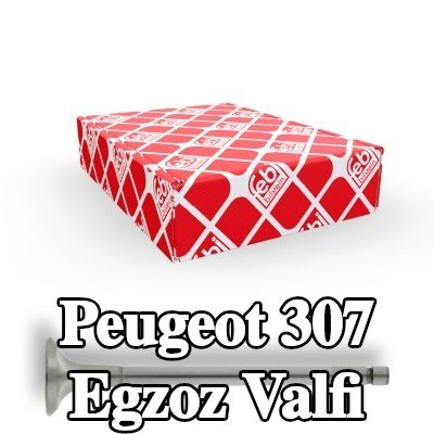 FEBI BILSTEIN Egzoz valfi — Peugeot 307