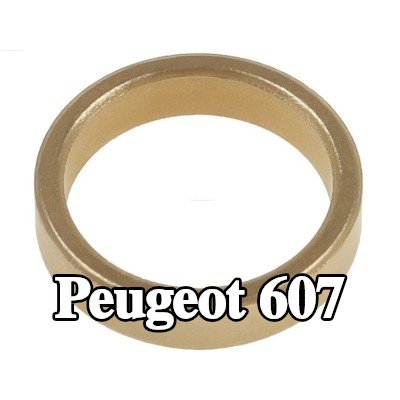 AS-PL جلبة، عمود التشغيل — Peugeot 607