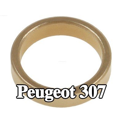 AS-PL جلبة، عمود التشغيل — Peugeot 307