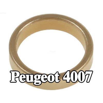 AS-PL جلبة، عمود التشغيل — Peugeot 4007