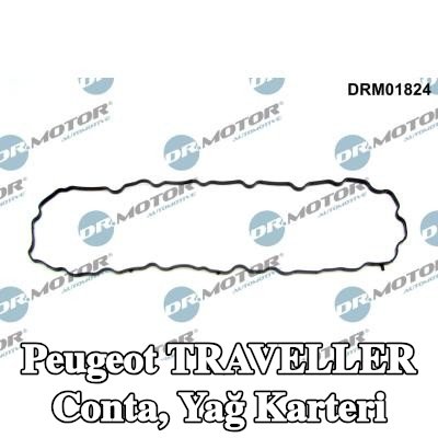 DR.MOTOR AUTOMOTIVE Conta, yağ karteri — Peugeot Traveller