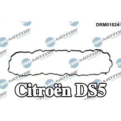 DR.MOTOR AUTOMOTIVE حشية، حوض الزيت — Citroën Ds5