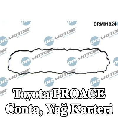 DR.MOTOR AUTOMOTIVE Conta, yağ karteri — Toyota Proace