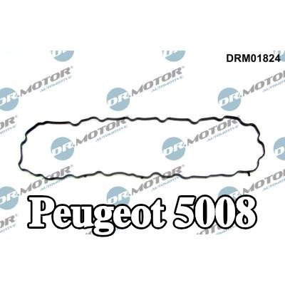 DR.MOTOR AUTOMOTIVE حشية، حوض الزيت — Peugeot 5008
