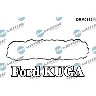 DR.MOTOR AUTOMOTIVE حشية، حوض الزيت — Ford Kuga