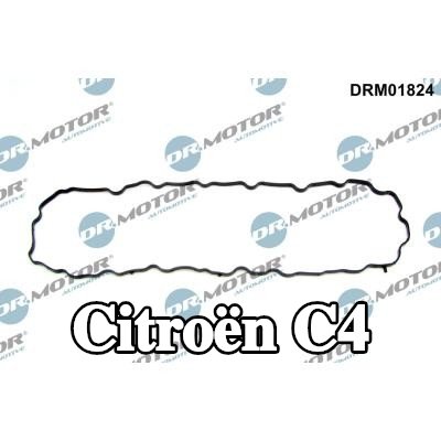 DR.MOTOR AUTOMOTIVE حشية، حوض الزيت — Citroën C4