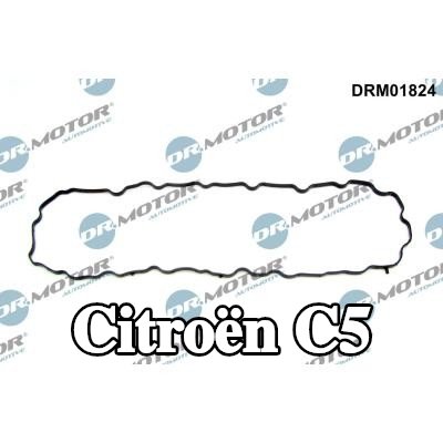 DR.MOTOR AUTOMOTIVE حشية، حوض الزيت — Citroën C5