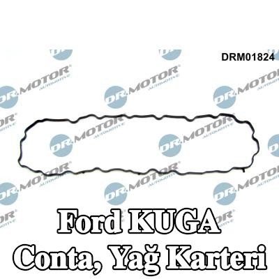 DR.MOTOR AUTOMOTIVE Conta, yağ karteri — Ford Kuga