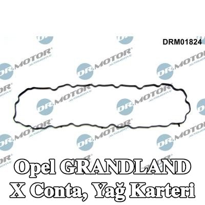 DR.MOTOR AUTOMOTIVE Conta, yağ karteri — Opel Grandland X