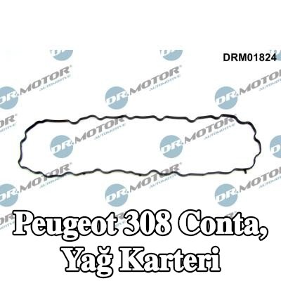 DR.MOTOR AUTOMOTIVE Conta, yağ karteri — Peugeot 308