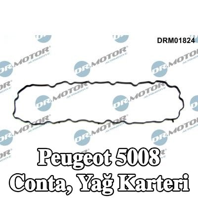 DR.MOTOR AUTOMOTIVE Conta, yağ karteri — Peugeot 5008