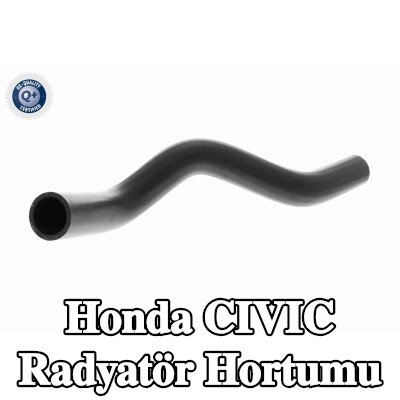 ACKOJA Radyatör Hortumu Alt — 2016 Honda Civic