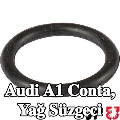 JP GROUP Conta, yağ süzgeci — Audi A1
