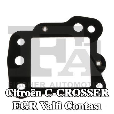 FA1 EGR valfi contası — Citroën C-crosser