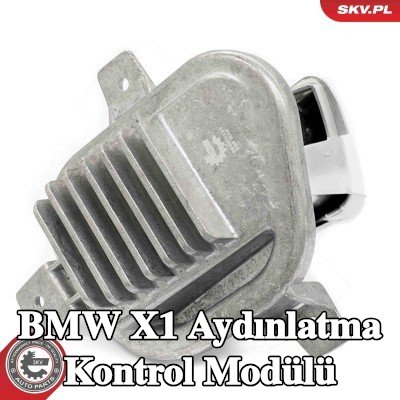 ESEN SKV Aydınlatma kontrol modülü — 2016 BMW X1