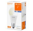 OSRAM LED ampul — Lexus Lbx (2)