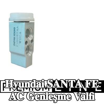 MAHLE AC genleşme valfi — 2002 Hyundai Santa Fe