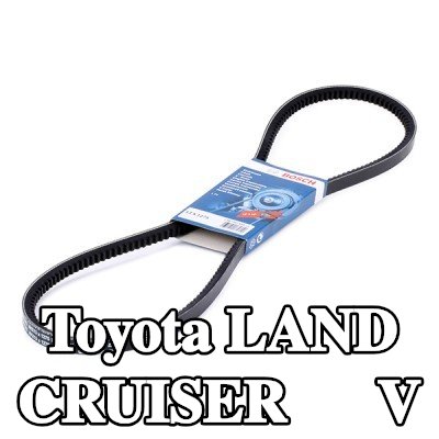 BOSCH حزام V 1275mm — Toyota Land Cruiser
