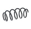 SACHS Helezon yay — Volkswagen Cc (2)