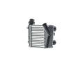 MAHLE Intercooler — Renault Wind (2)