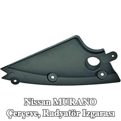 DIEDERICHS Çerçeve, radyatör ızgarası — Nissan Murano