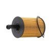 RIDEX PLUS Motor yağı filtre seti — SEAT Ibiza (2)