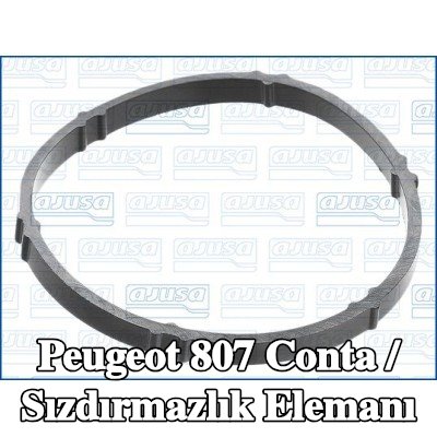 AJUSA Conta / Sızdırmazlık elemanı — Peugeot 807