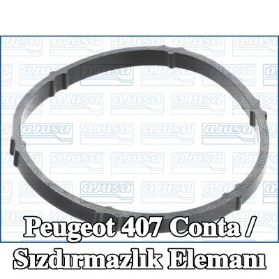 AJUSA Conta / Sızdırmazlık elemanı — Peugeot 407