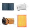 RIDEX Filtre kiti — Land Rover Range Rover (1)