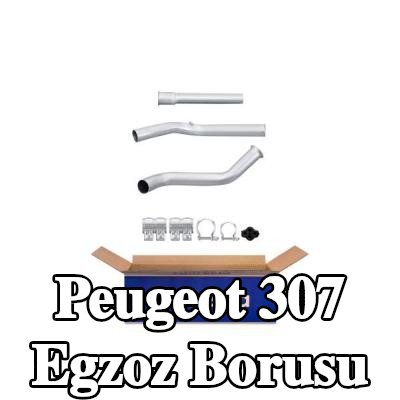 HELLA Egzoz Borusu — 2002 Peugeot 307