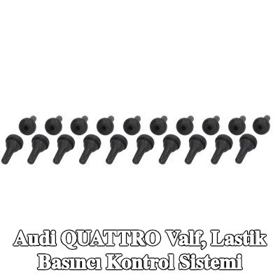 PROFITOOL Valf, lastik basıncı kontrol sistemi — Audi Quattro