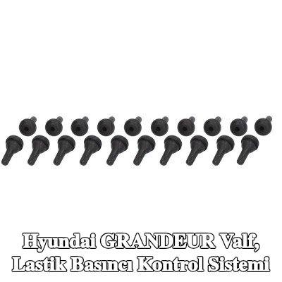 PROFITOOL Valf, lastik basıncı kontrol sistemi — 1990 Hyundai Grandeur