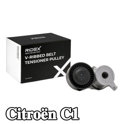 RIDEX بكرة الموتر القطر الخارجي: 70mm — Citroën C1